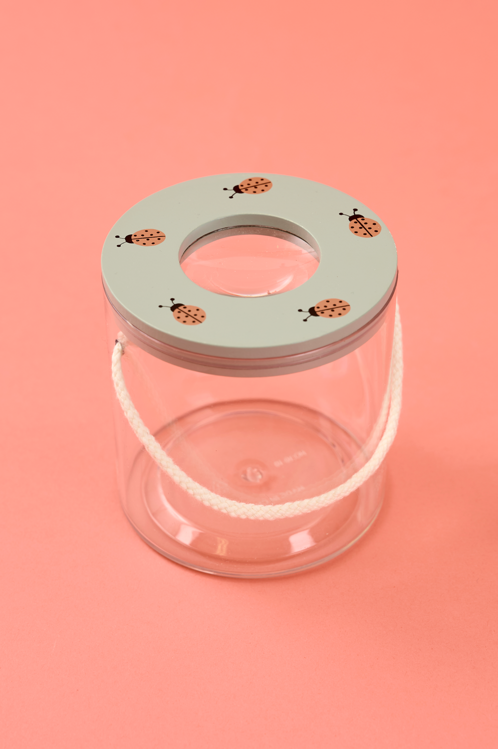 Insect jar