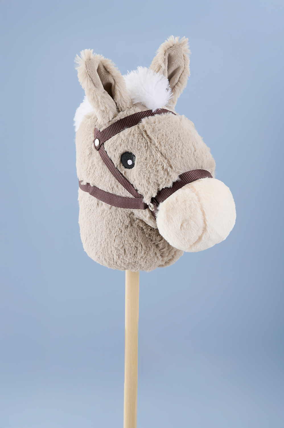 Hobby horse