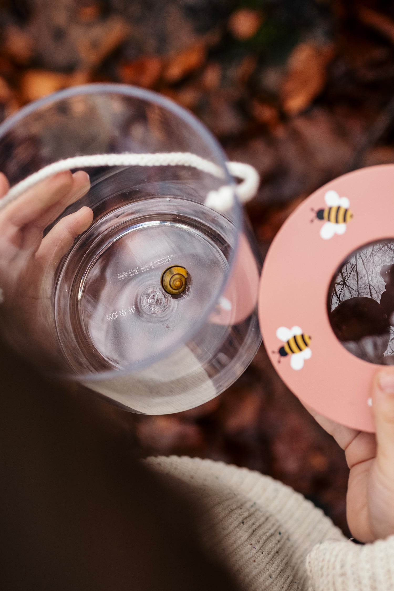 Insektsburk