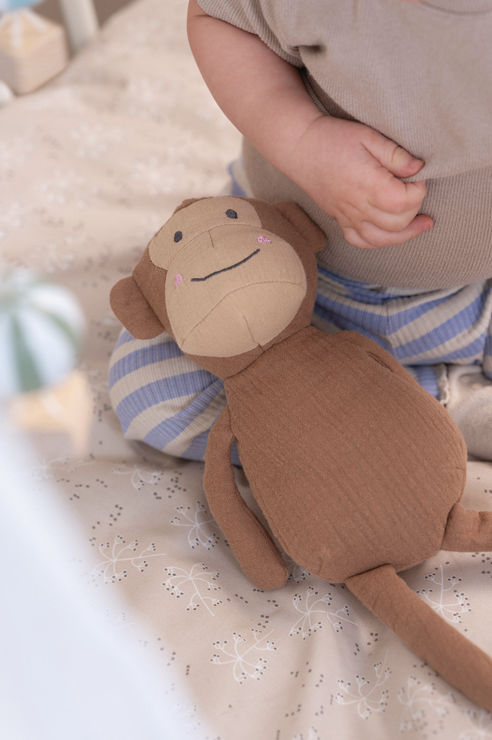 Buddy Monkey & blanket