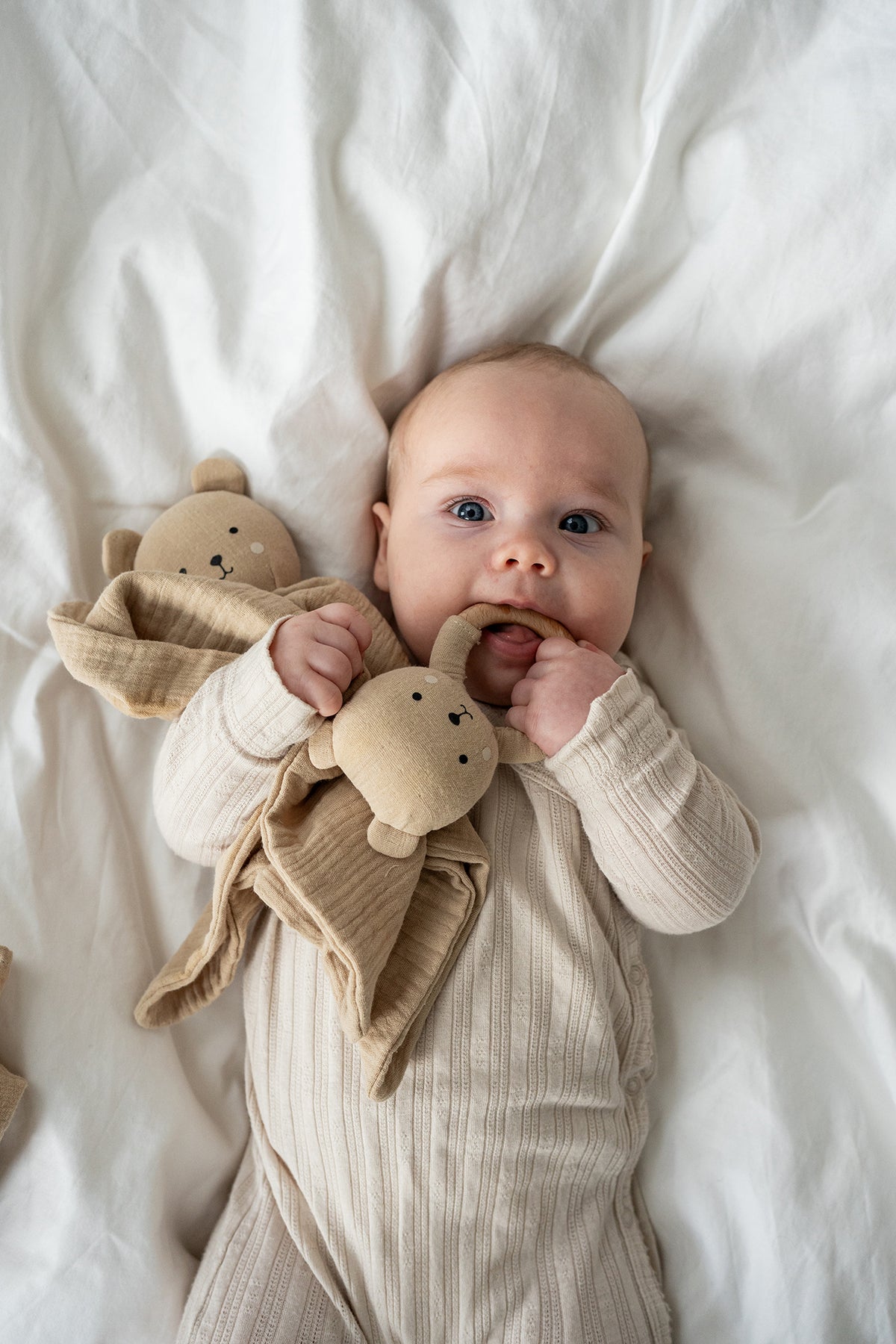Baby gift Teddy cuddle