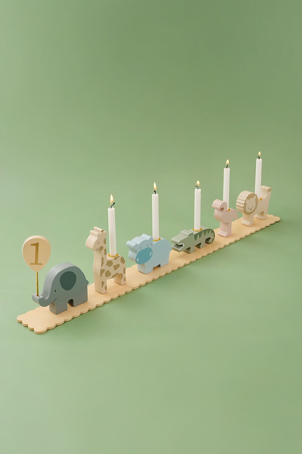 Birthday train safari