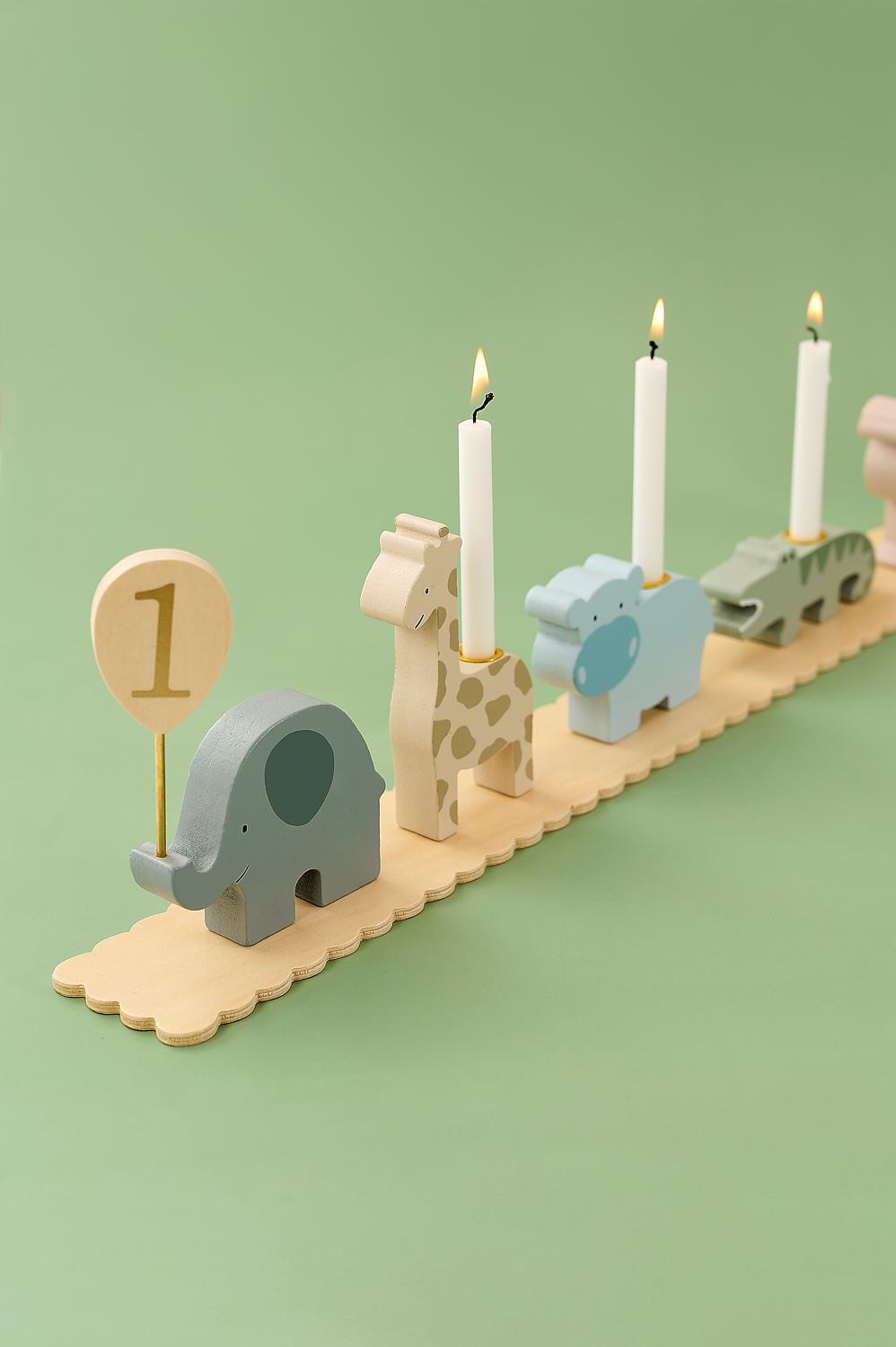 Birthday train safari